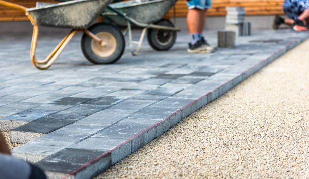 Best Driveway Paving Near Me  in Newton, TX