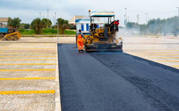 Best Driveway Repair Near Me  in Newton, TX