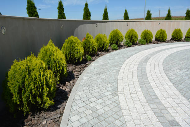 Best Best Driveway Pavers  in Newton, TX