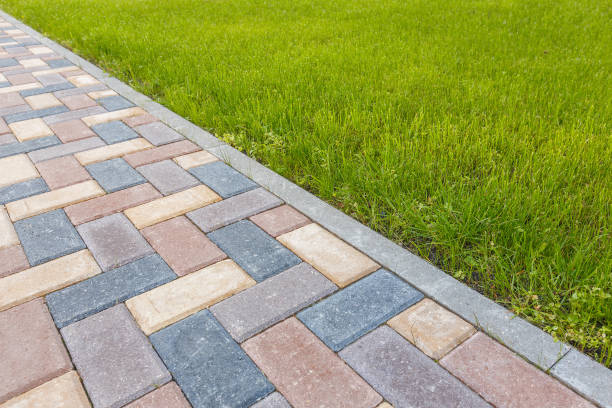 Best Driveway Pavers Near Me  in Newton, TX